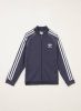 Adidas Originals Adicolor SST Trainingsjack Shadow Navy/White online kopen