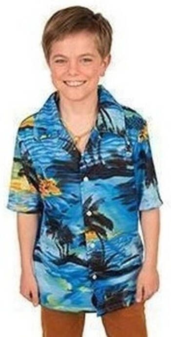 Faram Hawaii Blouse/overhemd Blauw Voor Jongens 116(6 Jaar) Carnavalsblouses