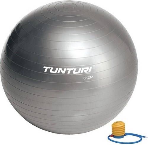 Tunturi Fitnessbal Gymball Swiss ball Ø 65 cm Inclusief pomp Zilver
