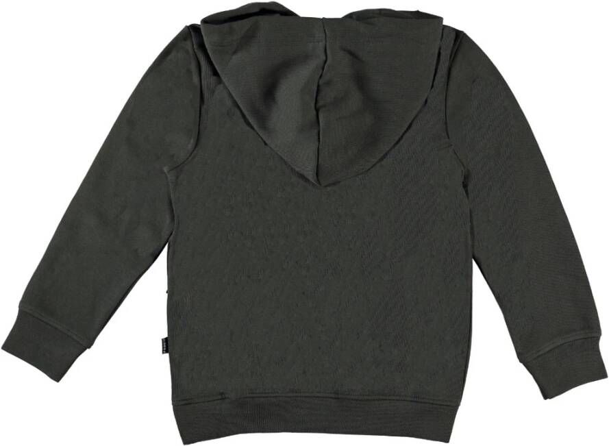 Cars jongens hoodie 30496 groen