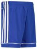 Adidas Shorts Squadra 17 Blauw/Wit Kinderen online kopen