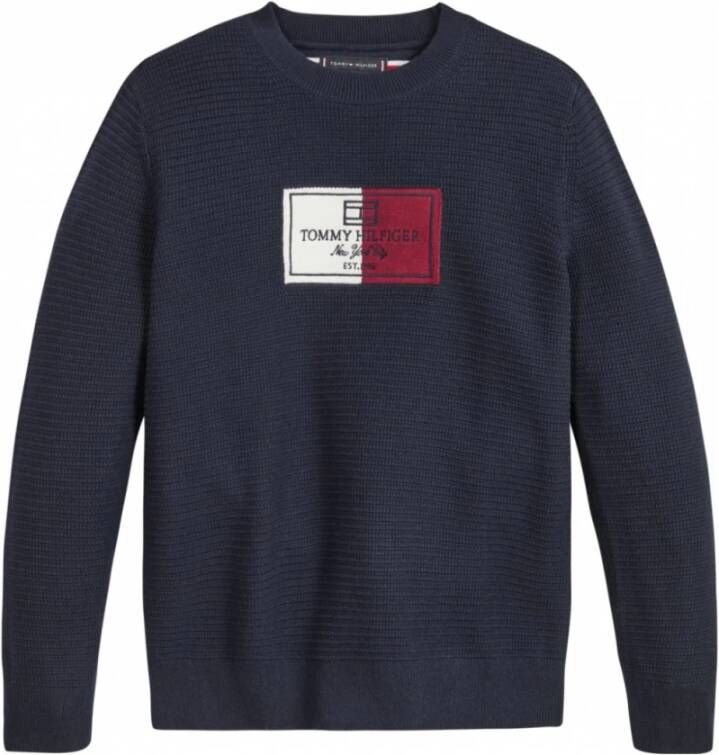 Tommy Hilfiger Sweaters Blauw Heren