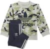 Adidas Originals Adicolor trainingspak lichtgrijs/groen/donkerblauw online kopen