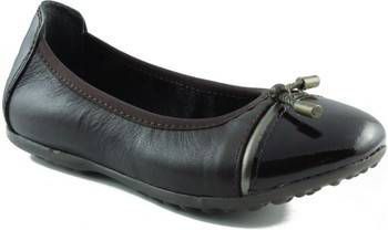 Ballerina's Acebo's DE