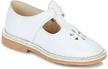 Ballerina's Aster DINGO