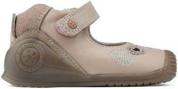 Ballerina's Biomecanics HANDLEIDINGEN 181132