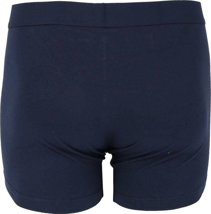 Levis Levi's Heren Boxershort Boxer Brief Core 2p Blauw