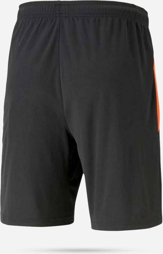 Puma teamliga training shorts2 jr