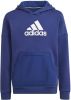 Adidas Badge Of Sports Freelift Sweater Met Capuchon Jongens online kopen