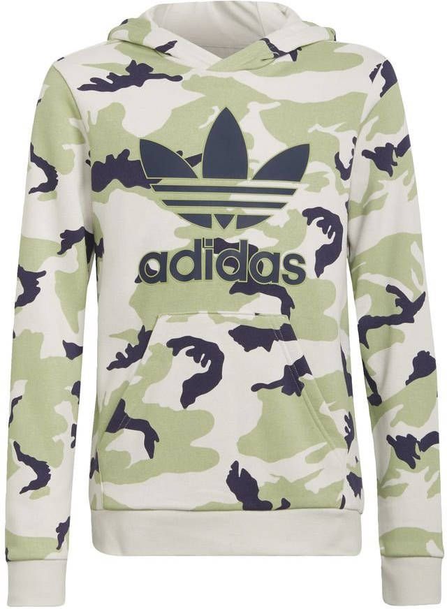 Adidas Originals Adicolor hoodie lichtgrijs/lichtgroen/donkerblauw